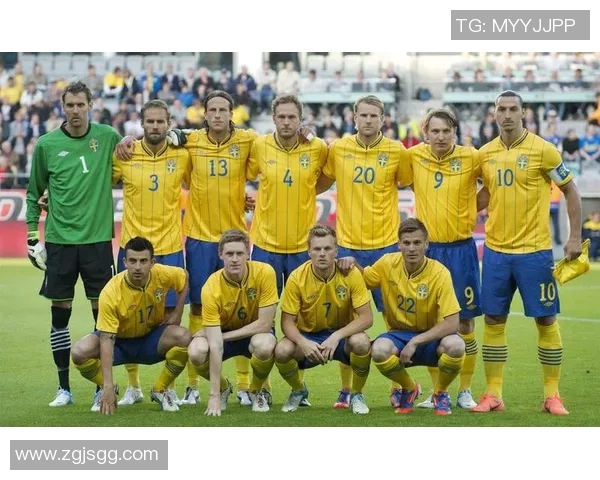 世预赛意大利对阵瑞典精彩回顾及赛况分析在PPTV观看指南