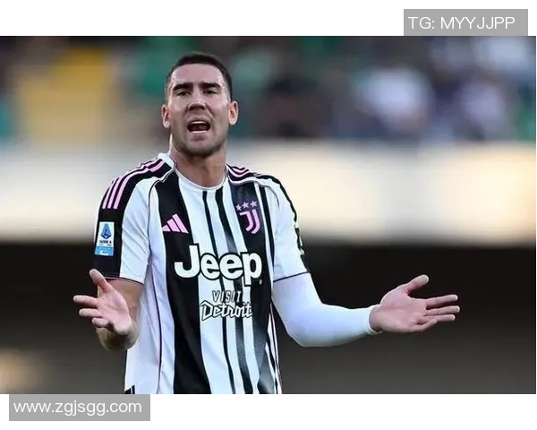 弗拉霍维奇的崛起与挑战：从天才少年到足球巨星的奋斗历程