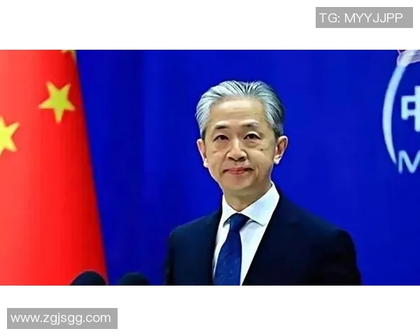 赖斯的外交智慧与全球影响力探讨：重塑国际关系的新篇章