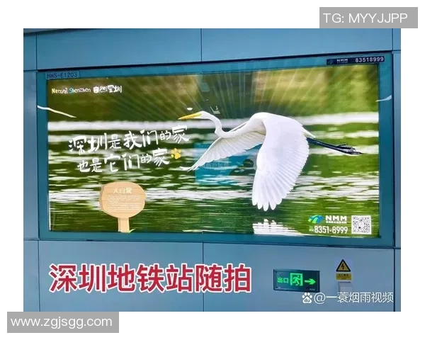 陈丽专访:从街头到舞台的蜕变与坚持之路MBA 陈丽专访:从街头到舞台的蜕变与坚持之路MBA