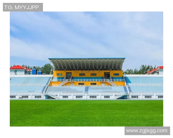 北京羽毛球队实力深度剖析与对手比较的独特视角MBA 北京羽毛球队实力深度剖析与对手比较的独特视角MBA