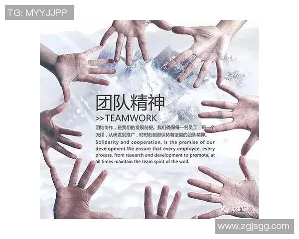 攀岩团队协作实力榜单权威发布揭示顶尖团队实力与合作潜力