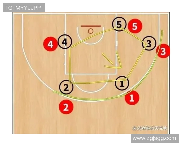 深入分析成都篮球队防守策略与战术特点的专业解读